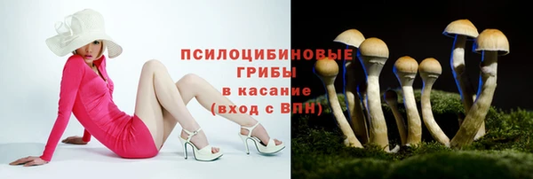 гидропоника Порхов
