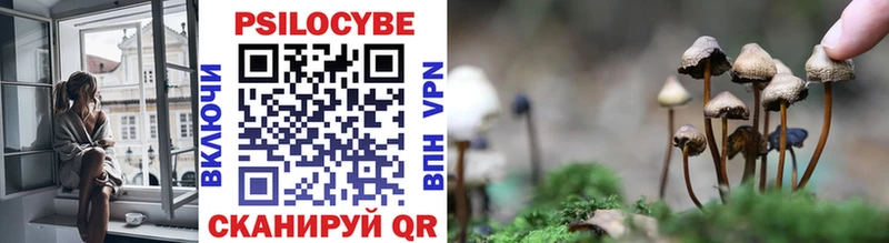 дарк нет телеграм  где можно купить   Арсеньев  Псилоцибиновые грибы мицелий 